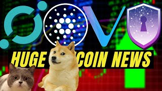 HUUGE Vechain VET Cardano ADA DOGECOIN ICON ICX SAFE HAVEN  DAILY ALTCOIN UPDATES [upl. by Woody]