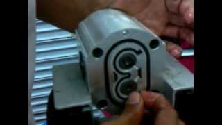 Rexpower  How to change RGP Gear Pump Rotation [upl. by Osicran]