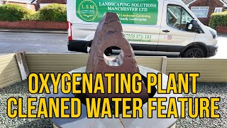 Oxygenating Plant Cleaned Water Feature [upl. by Nnahteb262]