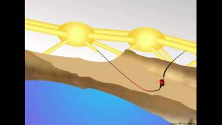 Neurons Synapse and Information Transfer [upl. by Airoled]