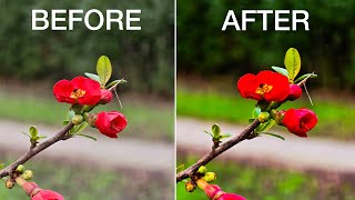 Samsung Galaxy S24 Ultra Before and After the update Photography [upl. by Eliason]