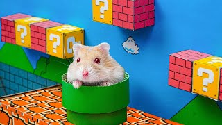 HAMSTER ESCAPE Cute Mario maze for Hamsterious 🐹 in Hamster Stories 🐹 Hamsterious [upl. by Ahseiat]