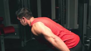 Isometrics for MASS 90 Seconds To Thicker Triceps [upl. by Eikcor]