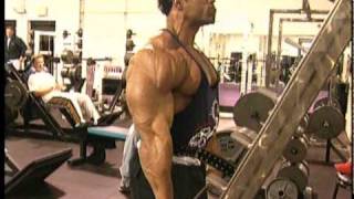 Kevin Levrone Tribute [upl. by Jansen619]