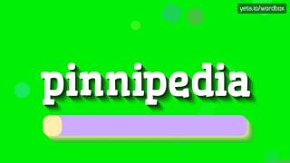 PINNIPEDIA  HOW TO PRONOUNCE IT [upl. by Nnylyt753]