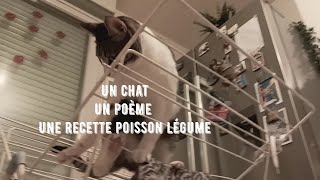 Un chat qui mange un poème  comment faire une recette poisson légumes riz vlog silencieux chat [upl. by Arraes]