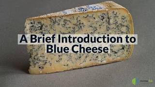 A Brief Introduction to Blue Cheese [upl. by Noelopan170]