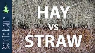 Know your garden mulch Hay vs Straw [upl. by Zile]