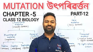 MUTATION  CLASS 12 BIOLOGY  উৎপৰিৱর্ত্তন  principleofinheritanceandvariation  mutation [upl. by Mel36]