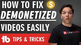 How To Fix Demonetized Videos Easily Bulk Submit for Manual Review [upl. by Ennaylime240]