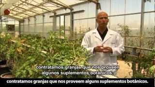 Nutrilite conoce la ruta desde la semilla al producto I Amway Latin [upl. by Geilich]