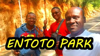 A Tour Of Entoto Park Ethiopia  ጉብኝት  Ethiopia Vlog 🇪🇹 [upl. by Brunelle409]