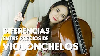 Diferencias entre precios de Violonchelos  Tipos de cellos y costos [upl. by Ylas234]