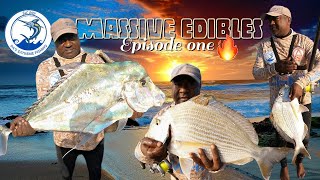 You would not believe the amount of edibles on this single trip NATAL STUMPNOSEKINGFISH [upl. by Akeirahs]