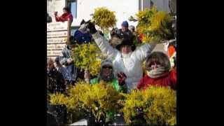 Fête du MIMOSA ROQUEBRUN 8 février 2015 [upl. by Oloapnaig329]