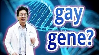 Scientific Evidence for People born Gay in 5 minutes [upl. by Winser350]