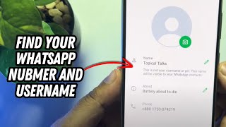 How To Find Your Whatsapp Number And Username 2024 Whatsapp New Update [upl. by Nich]