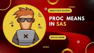 Proc Means In Base SAS [upl. by Foss587]