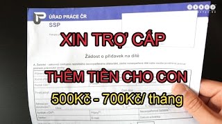 Cách điền đơn xin trợ cấp thêm tiền cho con Jak vyplnit žádost o přídavek pro dítě [upl. by Eylhsa381]