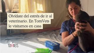 TomVets Veterinario a domicilio en Barcelona [upl. by Anitsyrhk]