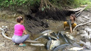 Top Video Survival Fishing Fishing Techniques Harvesting Many Big Fish  Survival Skills [upl. by Trebleht]