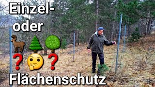 Einzel oder Flächenschutz beim 🦌 Wildschutzzaun 🌲🌳🤔❓️ Zaun Kontrolle Aufforstung Bäume pflanzen [upl. by Autrey]