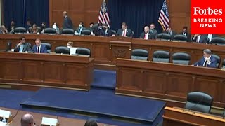 House Oversight Committee Holds A Hearing On ThirdParty Litigation Funding [upl. by Ermey457]