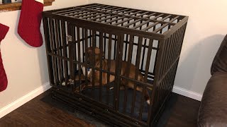 The BEST dog cage Amazon HAIGE Pet Nanny dog crate review [upl. by Rotow]