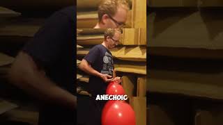 Popping A Balloon In Anechoic Chamber [upl. by Ecirtam]