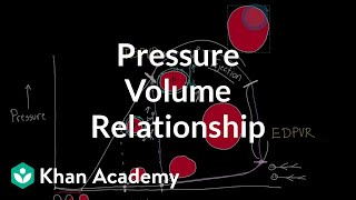 Reimagine the pressure volume relationship  Circulatory system physiology  NCLEXRN  Khan Academy [upl. by Gilemette]