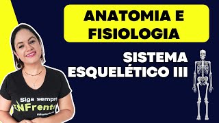 Sistema Esquelético III Anatomia e Fisiologia [upl. by Haff390]