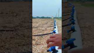 t tape irrigation irrigation tape drip line shorts farmer gardening lawn crop [upl. by Fahland]