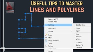 Autocad  Lines and Polylines Useful tips to master them [upl. by Leiram]