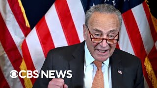 Schumer calls TrumpVance ticket quotextremequot [upl. by Jarlen]