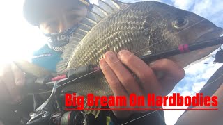 BIG BREAM On My Stradic Ci4 From The Kayak  Tuggerah Lakes [upl. by Dodie171]