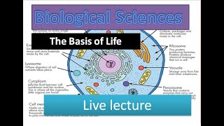 The Basis of Life  Cell Structures and FunctionsSubcellular Organelles like Nucleus Mitochondria [upl. by Odnamra]