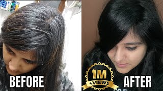 See the RESULT How to Highlights your hair at home  Preventing Naturally Soumali [upl. by Lisbeth]