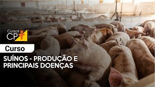 Suínos  Produção e Principais Doenças l Cursos CPT [upl. by Polash754]