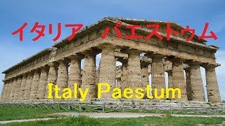 イタリア旅行 パエストゥム 古代ローマ遺跡 Paestum Italy [upl. by Byrn]