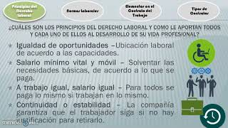 Principio de Estabilidad Laboral [upl. by Mittel892]