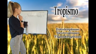 Tropismo  que es  tipos de tropismo  Nastia  que es [upl. by Rasecoiluj]