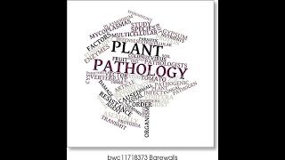 Causes of Plant diseases Virus viroid algal phanerogamic parasites abiotic disorders [upl. by Okomom]