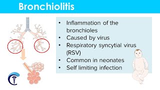 Bronchiolitis Causes Classification Symptoms Diagnosis and Treatment [upl. by Hannavas45]