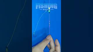 Live Fish Bait Fishing Rigs short fishingrig fishingrigs fishingknots fishingknot [upl. by Vanny]