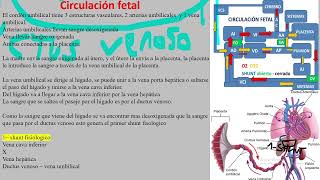 NCD Adaptacion extrauterina y termorregulacion [upl. by Heilner974]