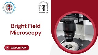 Bright Field Microscopy [upl. by Leile]