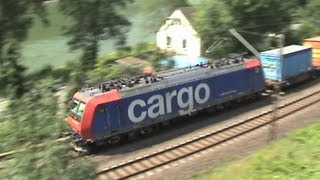 Eisenbahnen bei der Loreley ERS 189 RBS DB 185 SBB Cargo Re482 2x DB 185 145 2x 101 2x 428 [upl. by Shig]