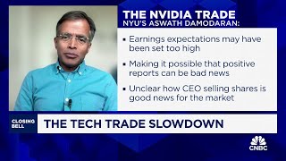 Mag 7 companies have shown weak spots in past few months says NYUs Aswath Damodaran [upl. by Lamej288]