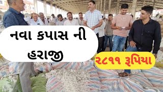 2811 રૂપિયા માં નવા કપાસ ની હરાજી થઇ [upl. by Marwin]