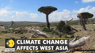 West Asias upcoming Climate Crisis Countries wake up to reality of climate change  WION [upl. by Carma]